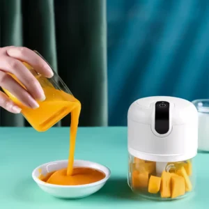 Electric Chopper from AliExpress