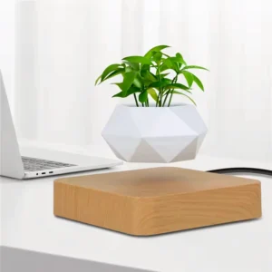 Magnetic Levitating Plant Pot from AliExpress